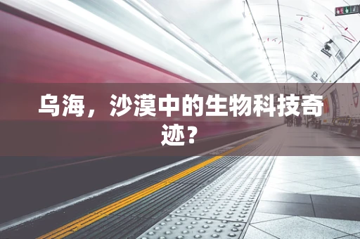 乌海，沙漠中的生物科技奇迹？