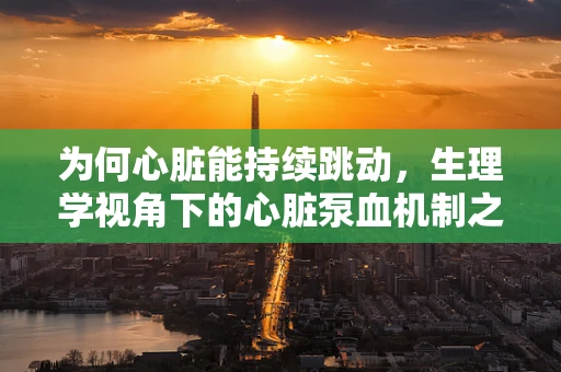 为何心脏能持续跳动，生理学视角下的心脏泵血机制之谜