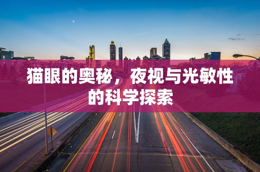 猫眼的奥秘，夜视与光敏性的科学探索