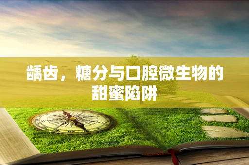 龋齿，糖分与口腔微生物的甜蜜陷阱