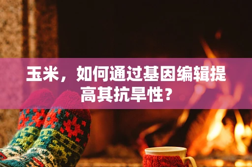 玉米，如何通过基因编辑提高其抗旱性？