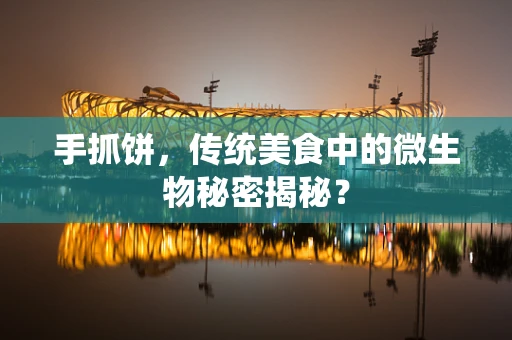 手抓饼，传统美食中的微生物秘密揭秘？