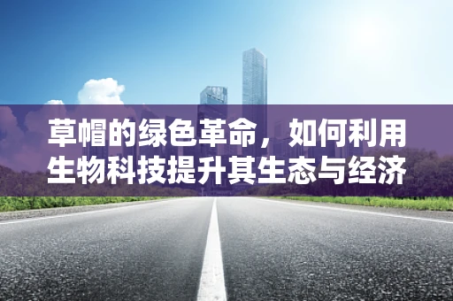 草帽的绿色革命，如何利用生物科技提升其生态与经济价值？