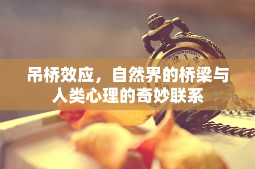吊桥效应，自然界的桥梁与人类心理的奇妙联系
