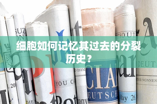 细胞如何记忆其过去的分裂历史？