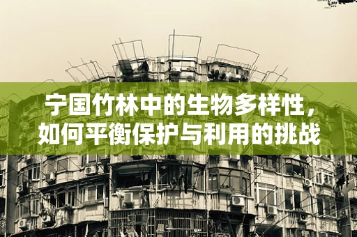 宁国竹林中的生物多样性，如何平衡保护与利用的挑战？