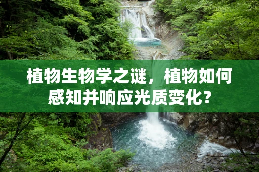 植物生物学之谜，植物如何感知并响应光质变化？