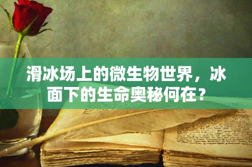 滑冰场上的微生物世界，冰面下的生命奥秘何在？