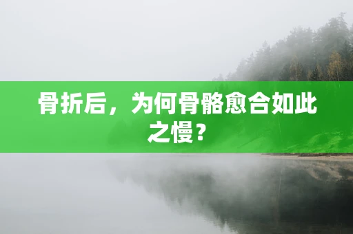 骨折后，为何骨骼愈合如此之慢？