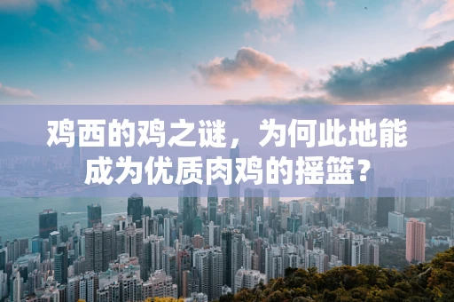 鸡西的鸡之谜，为何此地能成为优质肉鸡的摇篮？