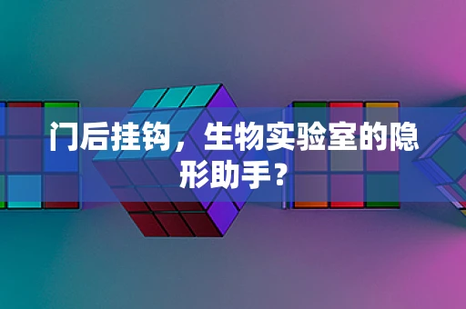 门后挂钩，生物实验室的隐形助手？