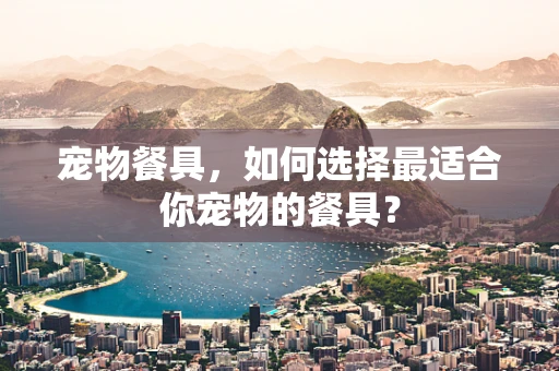 宠物餐具，如何选择最适合你宠物的餐具？