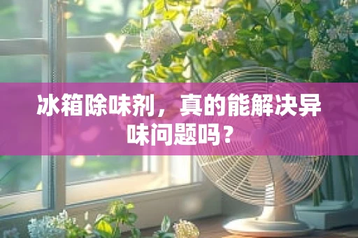 冰箱除味剂，真的能解决异味问题吗？