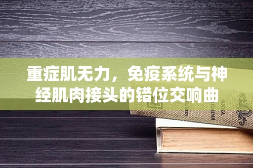 重症肌无力，免疫系统与神经肌肉接头的错位交响曲