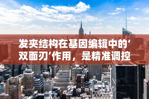 发夹结构在基因编辑中的‘双面刃’作用，是精准调控还是意外风险？