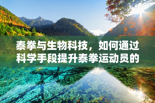 泰拳与生物科技，如何通过科学手段提升泰拳运动员的体能表现？