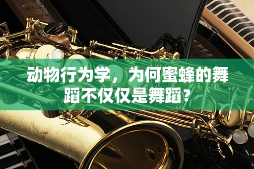 动物行为学，为何蜜蜂的舞蹈不仅仅是舞蹈？