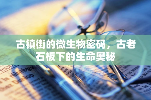古镇街的微生物密码，古老石板下的生命奥秘