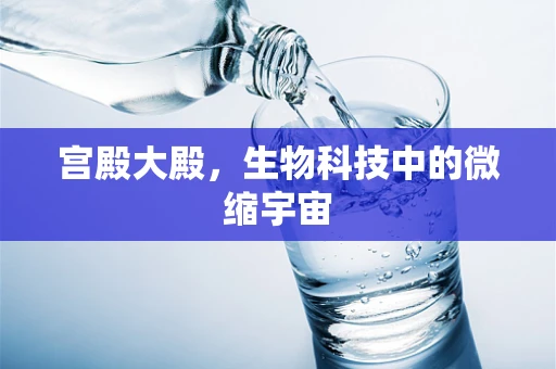 宫殿大殿，生物科技中的微缩宇宙