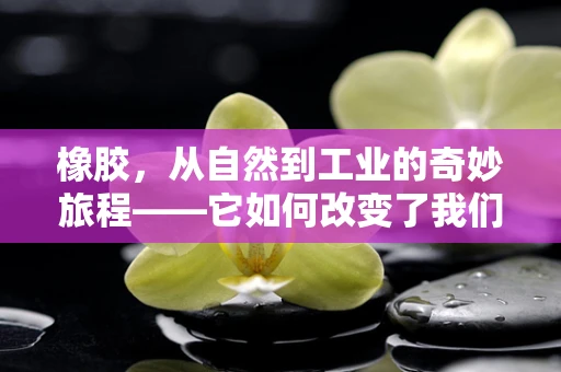 橡胶，从自然到工业的奇妙旅程——它如何改变了我们的世界？
