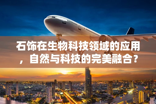 石饰在生物科技领域的应用，自然与科技的完美融合？