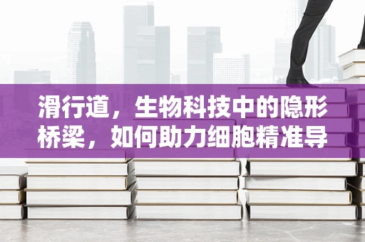 滑行道，生物科技中的隐形桥梁，如何助力细胞精准导航？
