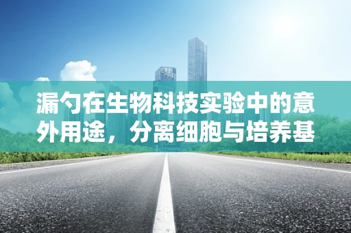 漏勺在生物科技实验中的意外用途，分离细胞与培养基的巧妙工具？