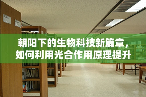 朝阳下的生物科技新篇章，如何利用光合作用原理提升农作物产量？