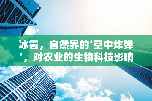 冰雹，自然界的‘空中炸弹’，对农业的生物科技影响何在？