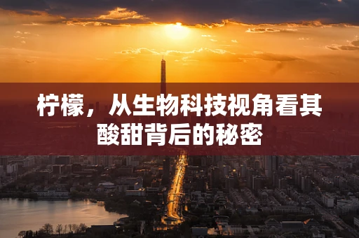 柠檬，从生物科技视角看其酸甜背后的秘密