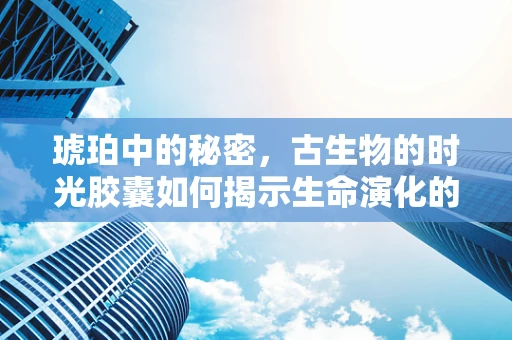 琥珀中的秘密，古生物的时光胶囊如何揭示生命演化的线索？