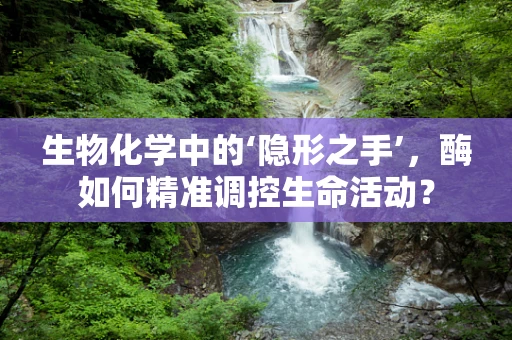 生物化学中的‘隐形之手’，酶如何精准调控生命活动？