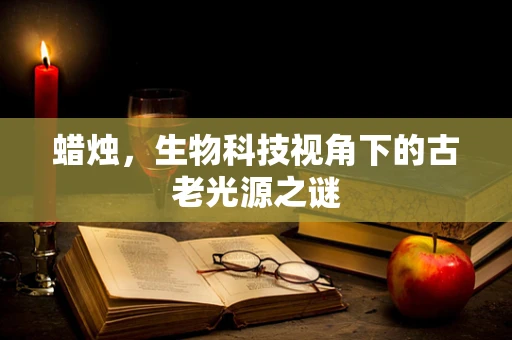 蜡烛，生物科技视角下的古老光源之谜