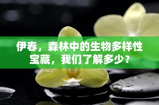 伊春，森林中的生物多样性宝藏，我们了解多少？