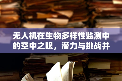 无人机在生物多样性监测中的空中之眼，潜力与挑战并存？