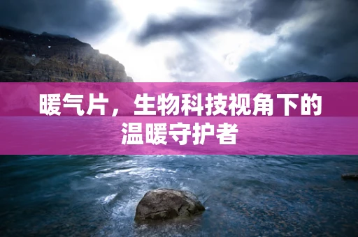 暖气片，生物科技视角下的温暖守护者
