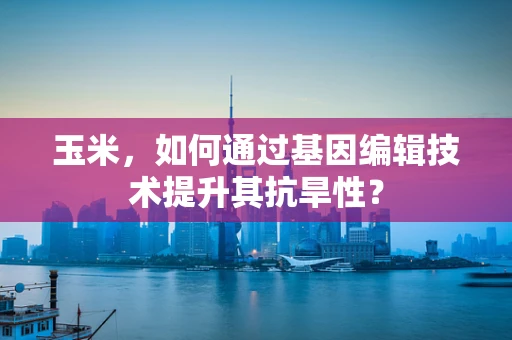 玉米，如何通过基因编辑技术提升其抗旱性？