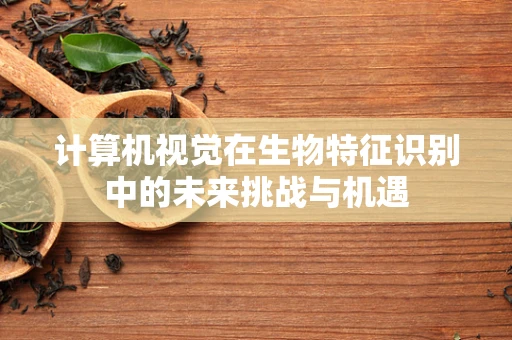 计算机视觉在生物特征识别中的未来挑战与机遇