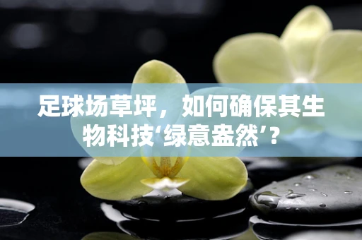 足球场草坪，如何确保其生物科技‘绿意盎然’？