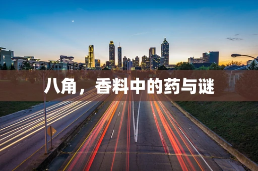 八角，香料中的药与谜