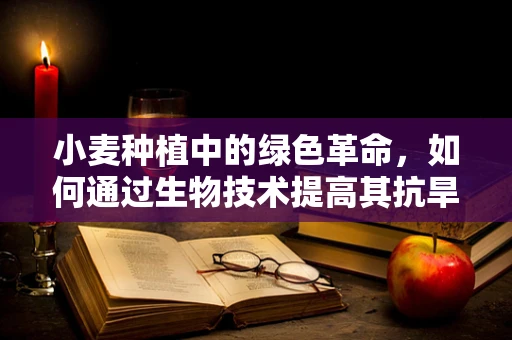 小麦种植中的绿色革命，如何通过生物技术提高其抗旱性？