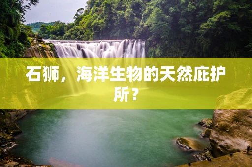 石狮，海洋生物的天然庇护所？