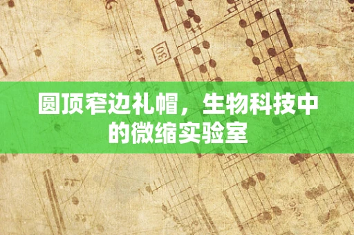 圆顶窄边礼帽，生物科技中的微缩实验室