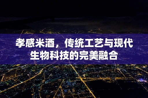 孝感米酒，传统工艺与现代生物科技的完美融合