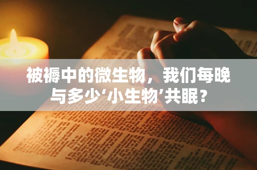 被褥中的微生物，我们每晚与多少‘小生物’共眠？