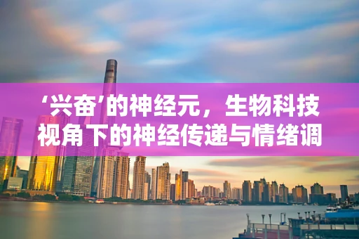 ‘兴奋’的神经元，生物科技视角下的神经传递与情绪调控