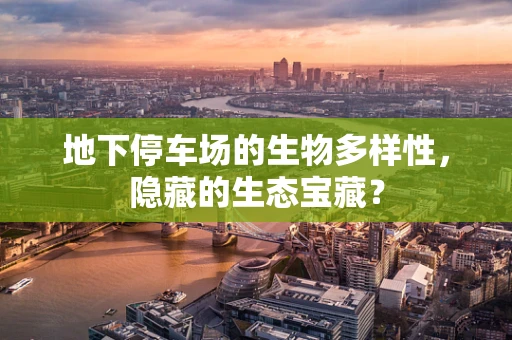 地下停车场的生物多样性，隐藏的生态宝藏？