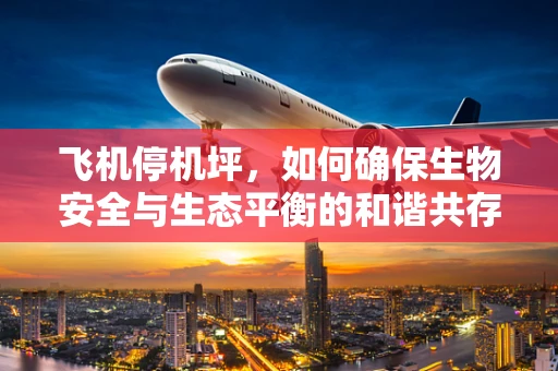 飞机停机坪，如何确保生物安全与生态平衡的和谐共存？