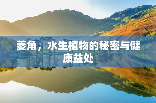菱角，水生植物的秘密与健康益处