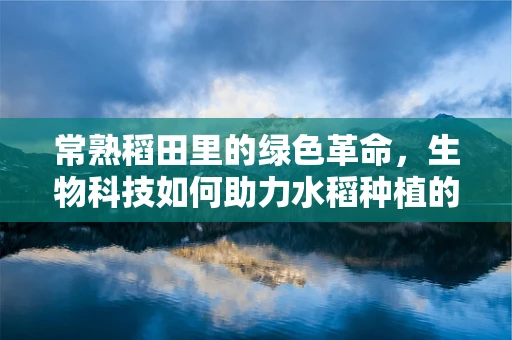 常熟稻田里的绿色革命，生物科技如何助力水稻种植的未来？